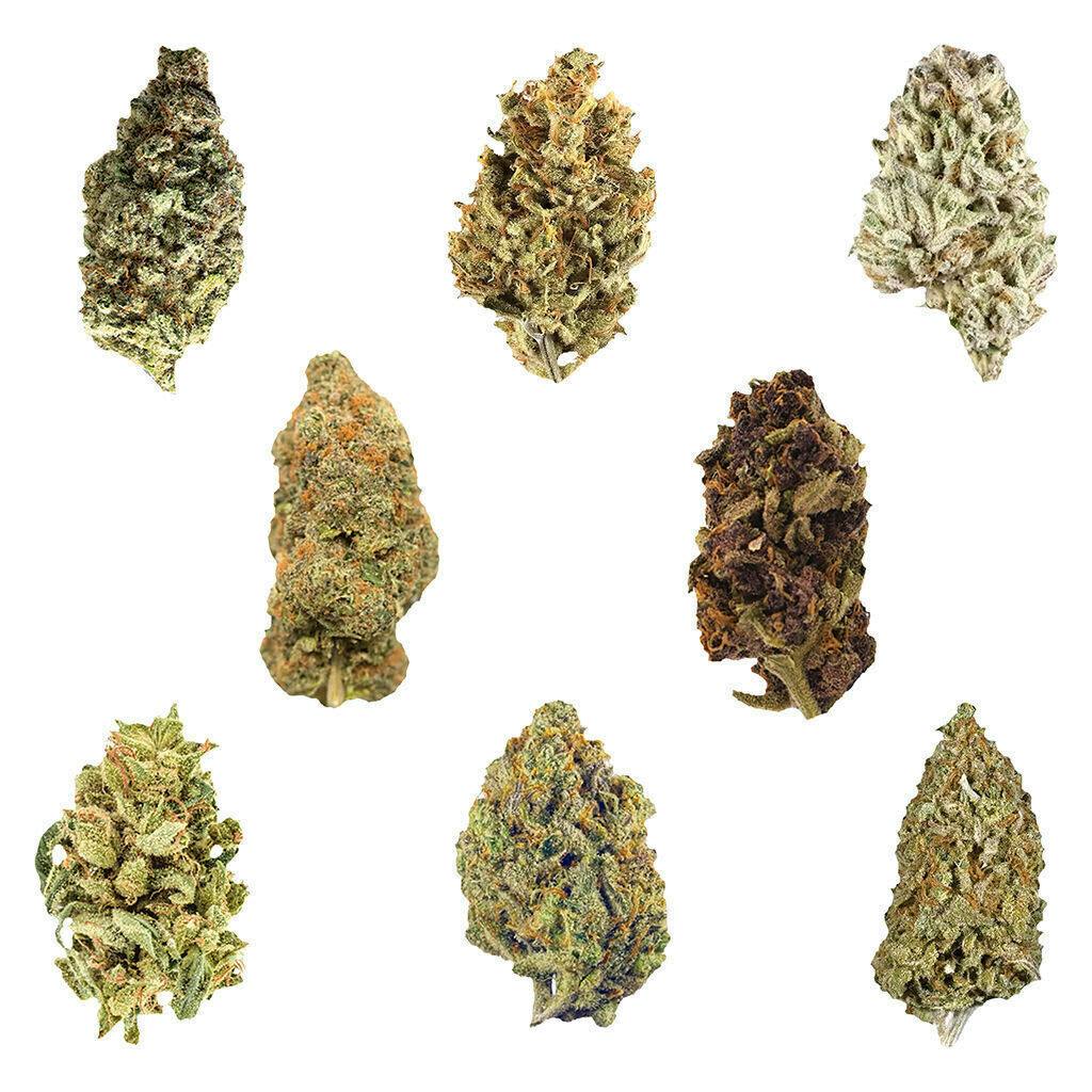 Dankmas Feast Variety Pack | Big Buds | 28g