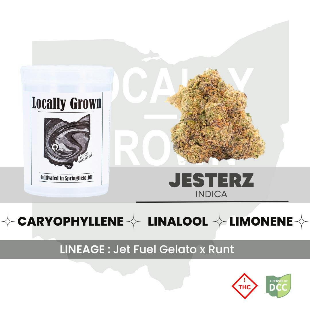 jesterz | Big Buds | 2.83g at Pure Ohio Wellness