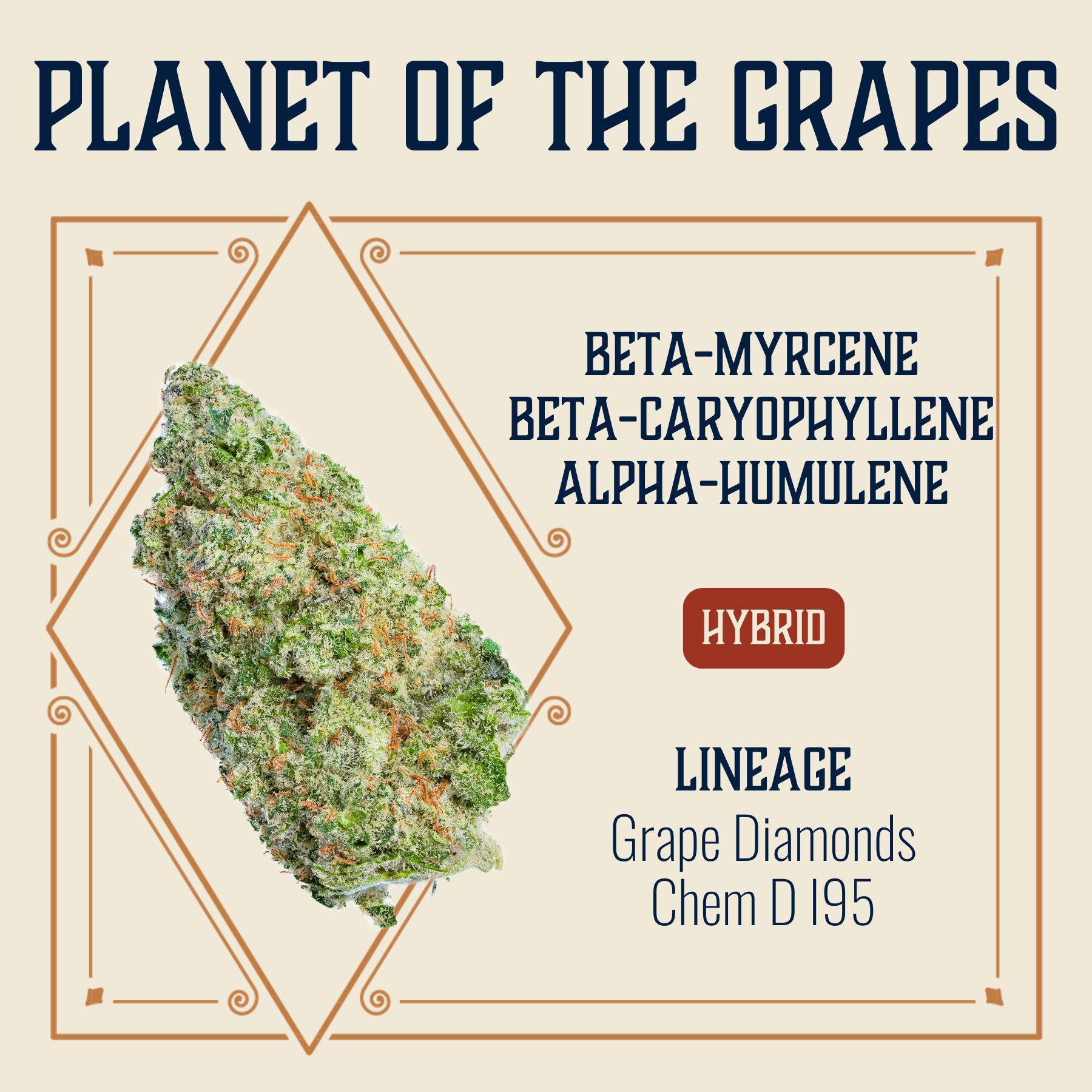 Planet Of The Grapes | Big Buds | 3.5g by Elevate
