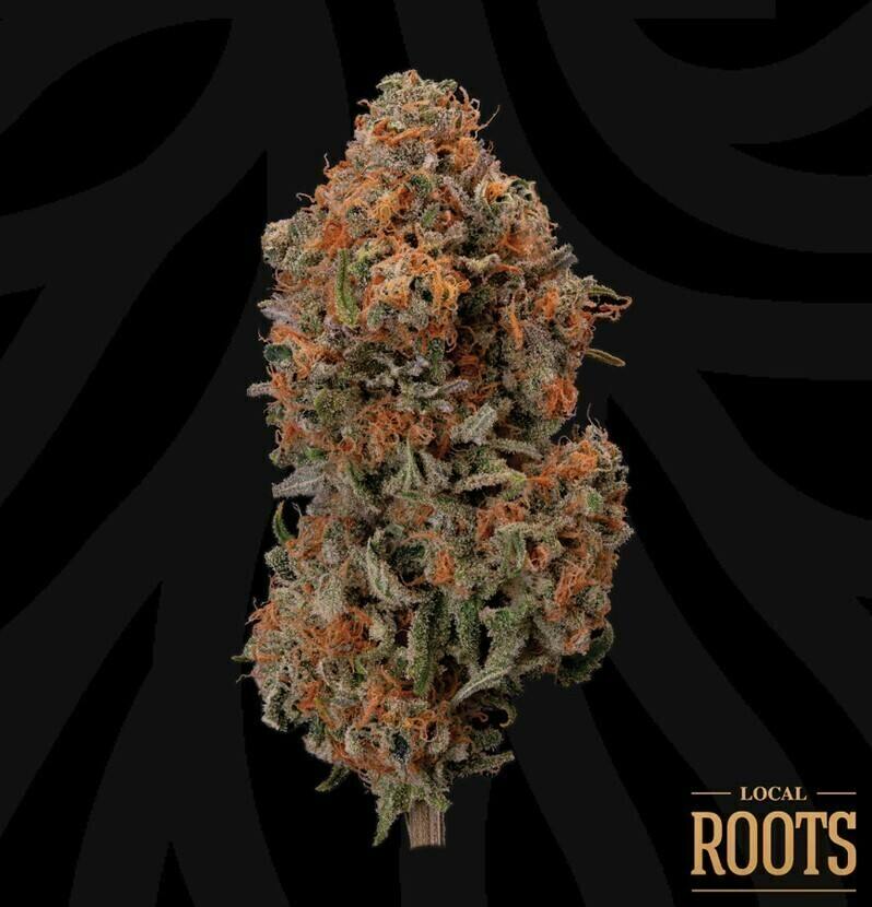 Blue Dream x Blowfish | Big Buds | 3.5g