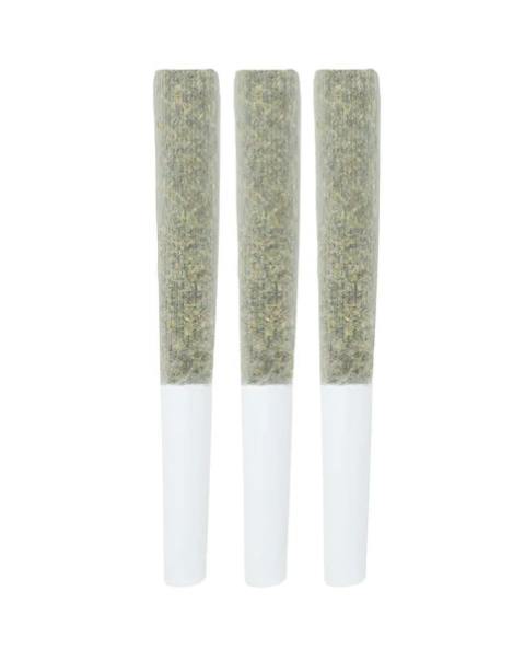 Jack Truffle | Minis | 0.5g | 3pk