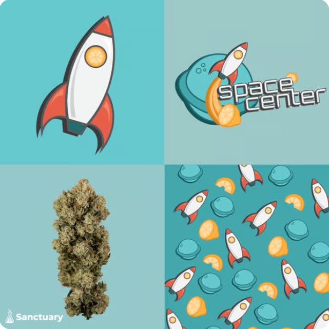 space center | Cartridge | 1g by Sanctuary Medicinals