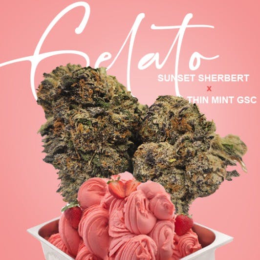 Gelato | Big Buds | 1g at A Greener Today Marijuana - South Seattle