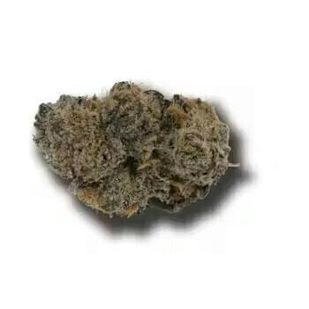 Yogurt Dip | Big Buds | 3.54g