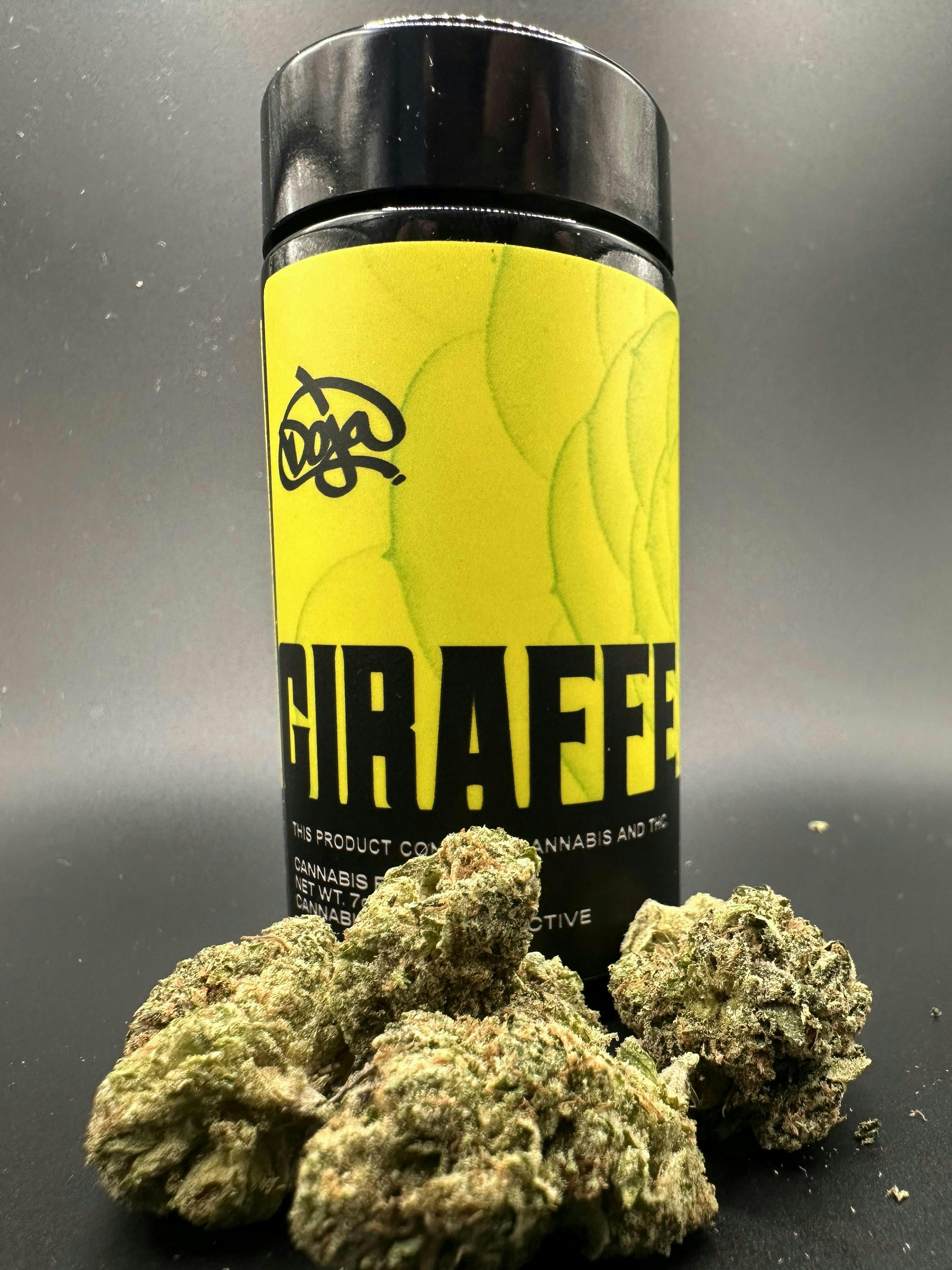 Giraffe Puzzy | Big Buds | 7g