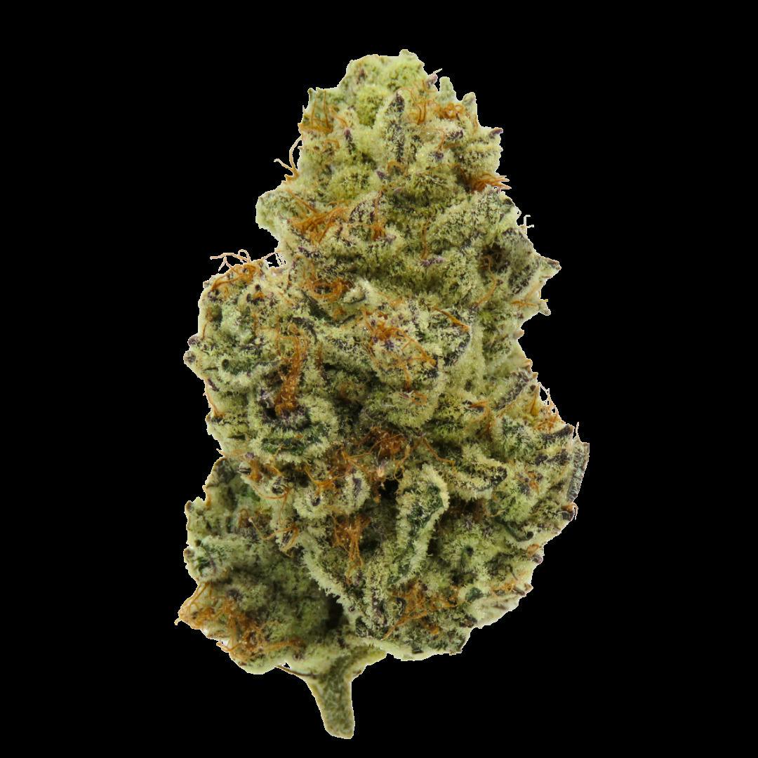 Perfect Pair | Big Buds | 1g