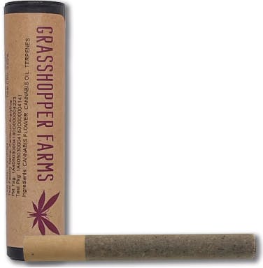 Grasshopper Grape | Infused Joints | 1g at Neighborhood Provisions(Cannabis Co of Alpena)