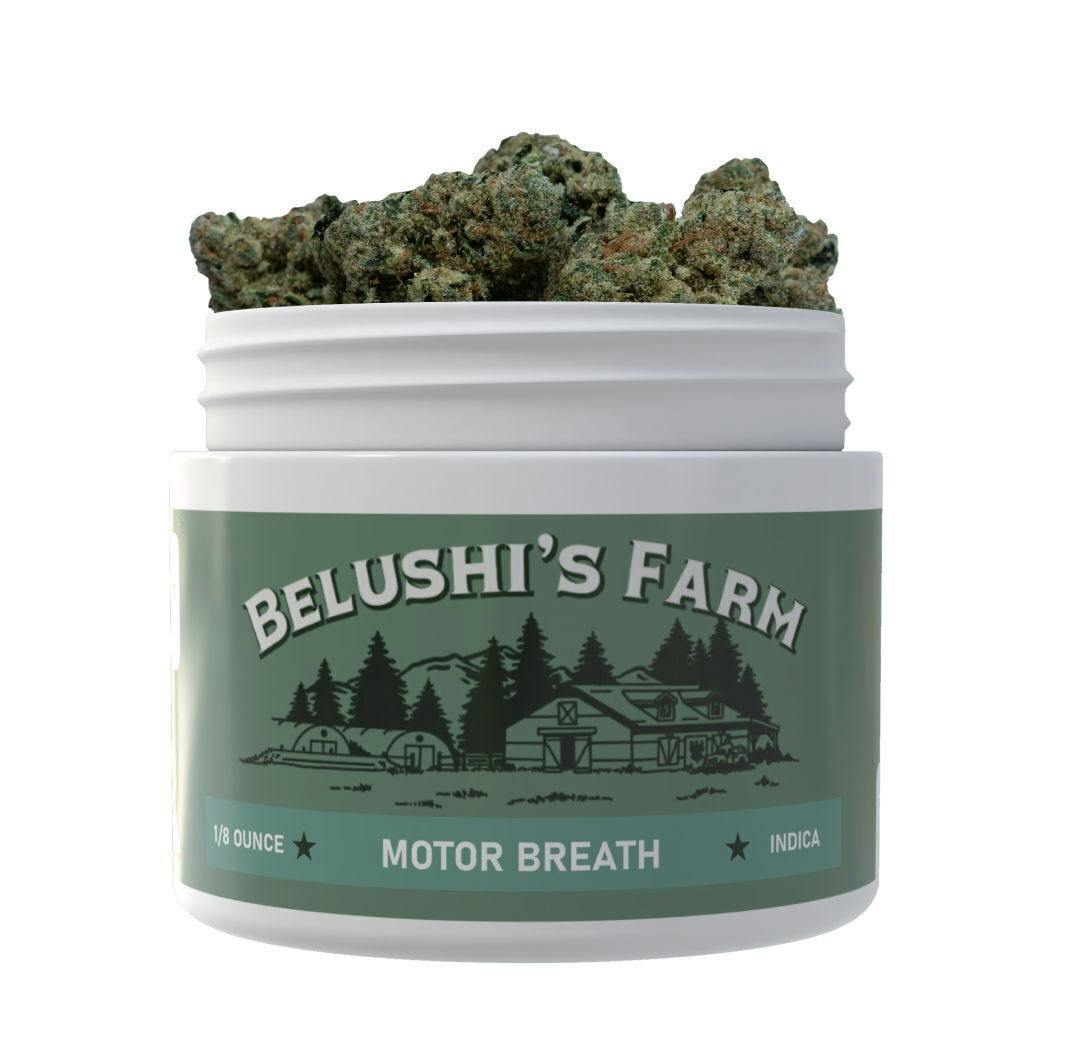motorbreath | Big Buds | 3.5g at ReLeaf Shop