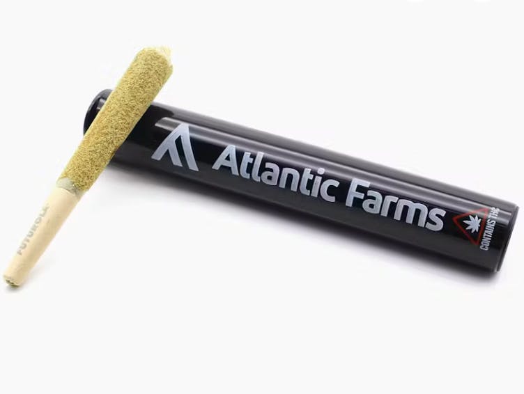 Super Joint | Infused Joints | 1.2g at The Healing Community MEDCo - Recreational