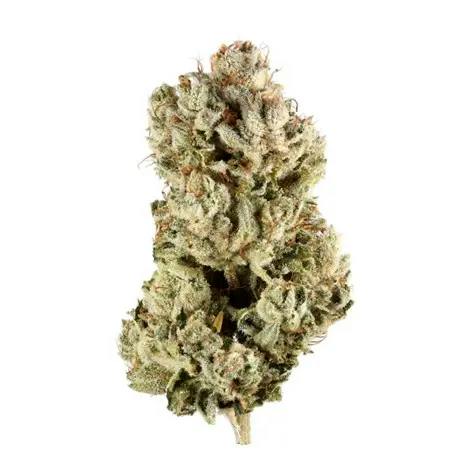 GG4 | Big Buds | 4g at Winona Dispensary | Local Cannabis Dispensary