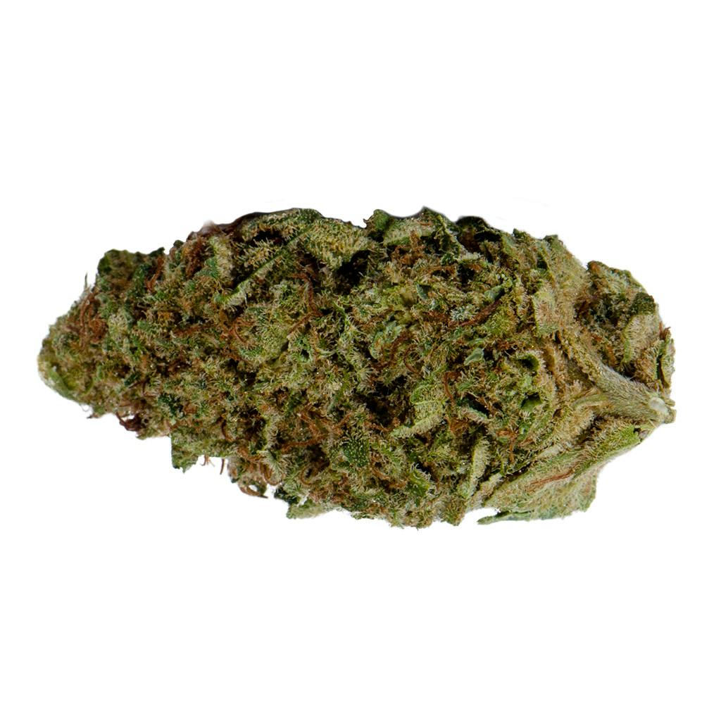 5G | Big Buds | 3.5g