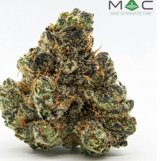 Jamberry | Big Buds | 3.5g by Mac