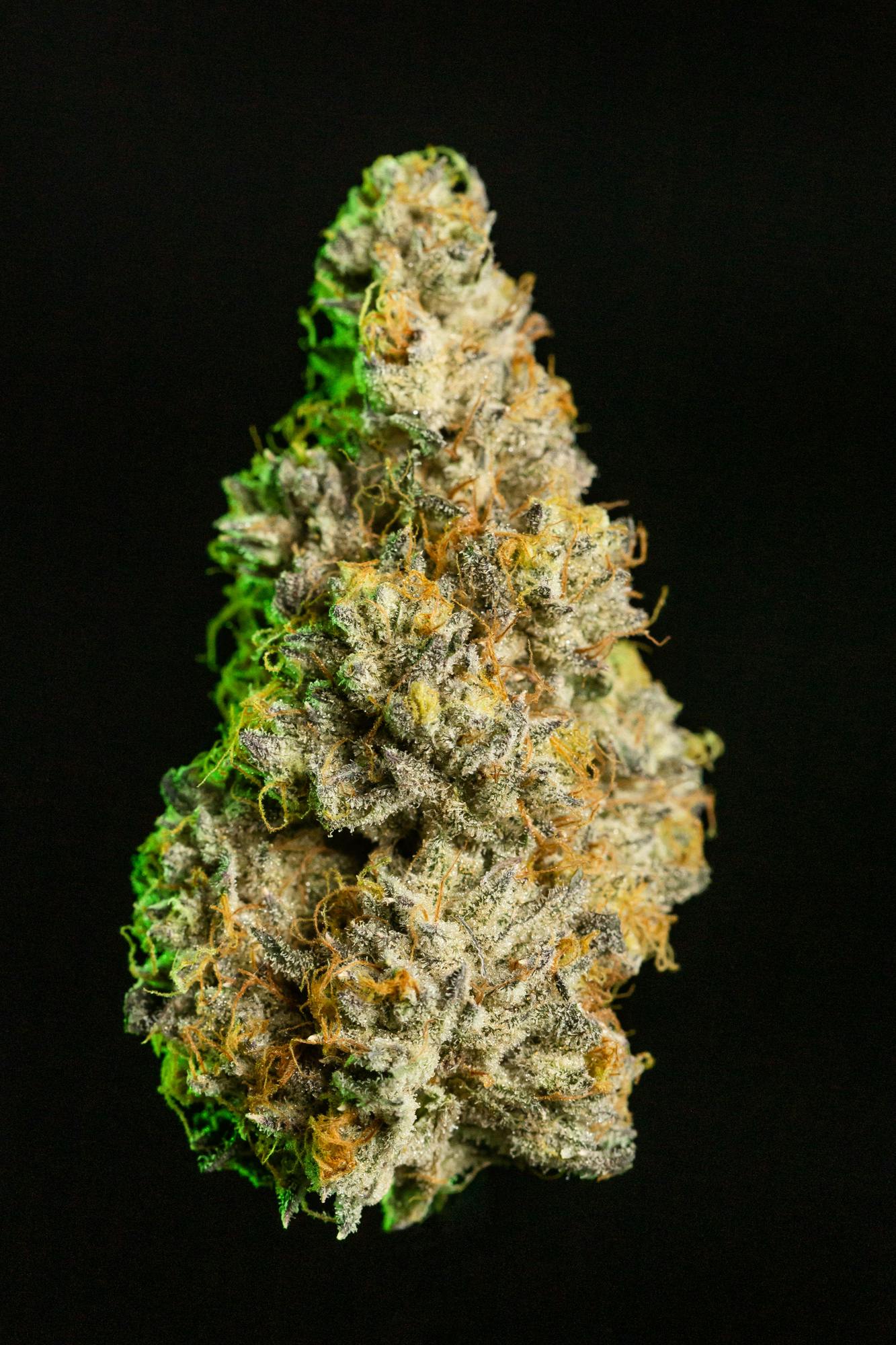 Beach Cooler | Big Buds | 3.5g by Alchemy