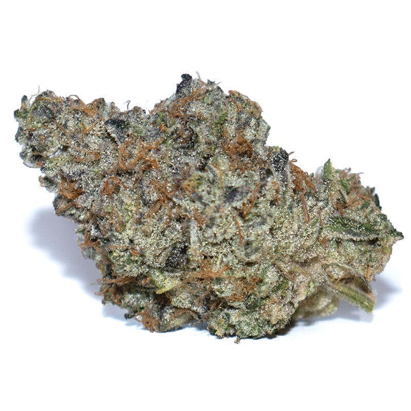 Gorilla Glue — GG4