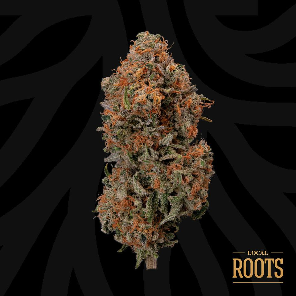 Blueberry Hashplant | Big Buds | 3.5g