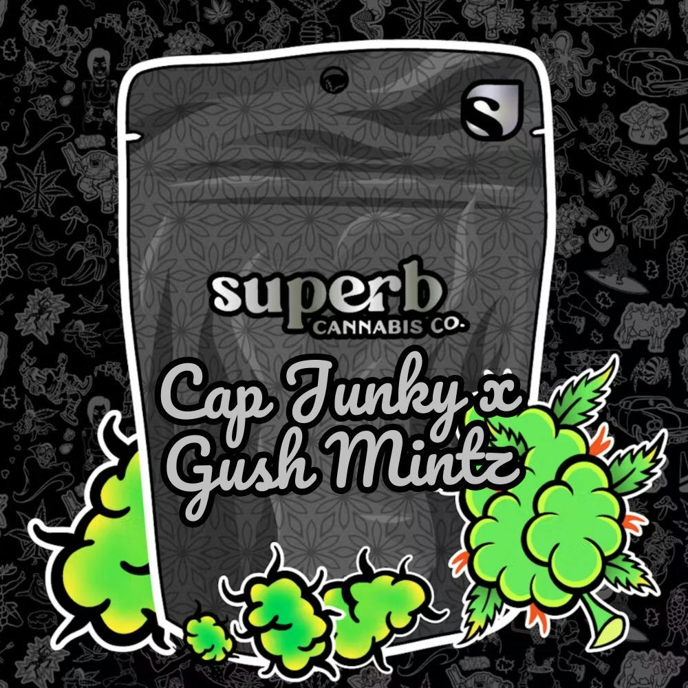 Cap Junky x Gush Mintz | Big Buds | 1g