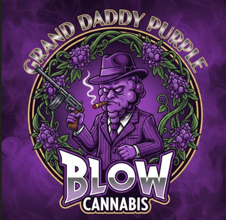 Granddaddy Purple | Big Buds | 1g