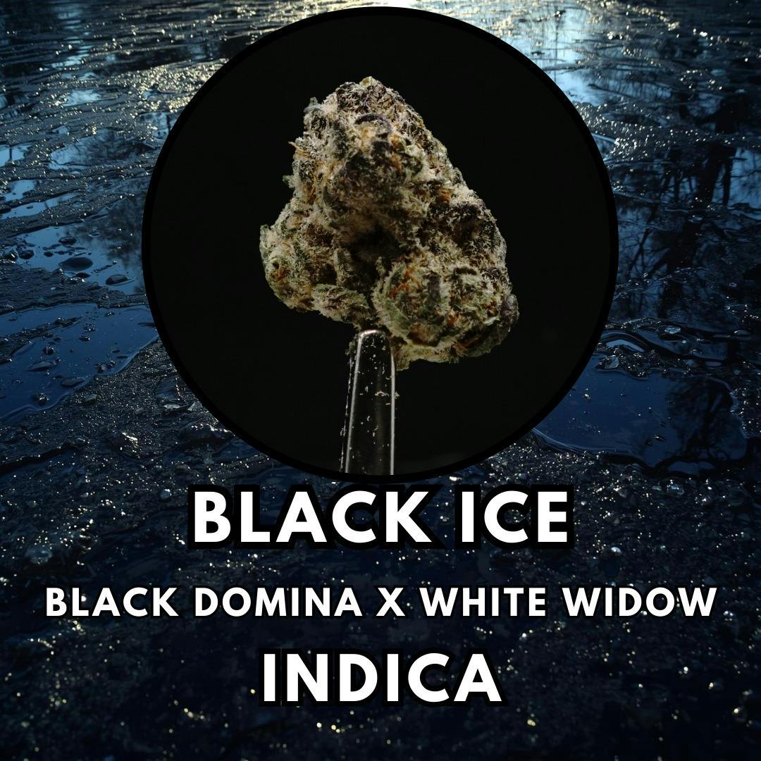 Black Ice | Big Buds | 1g