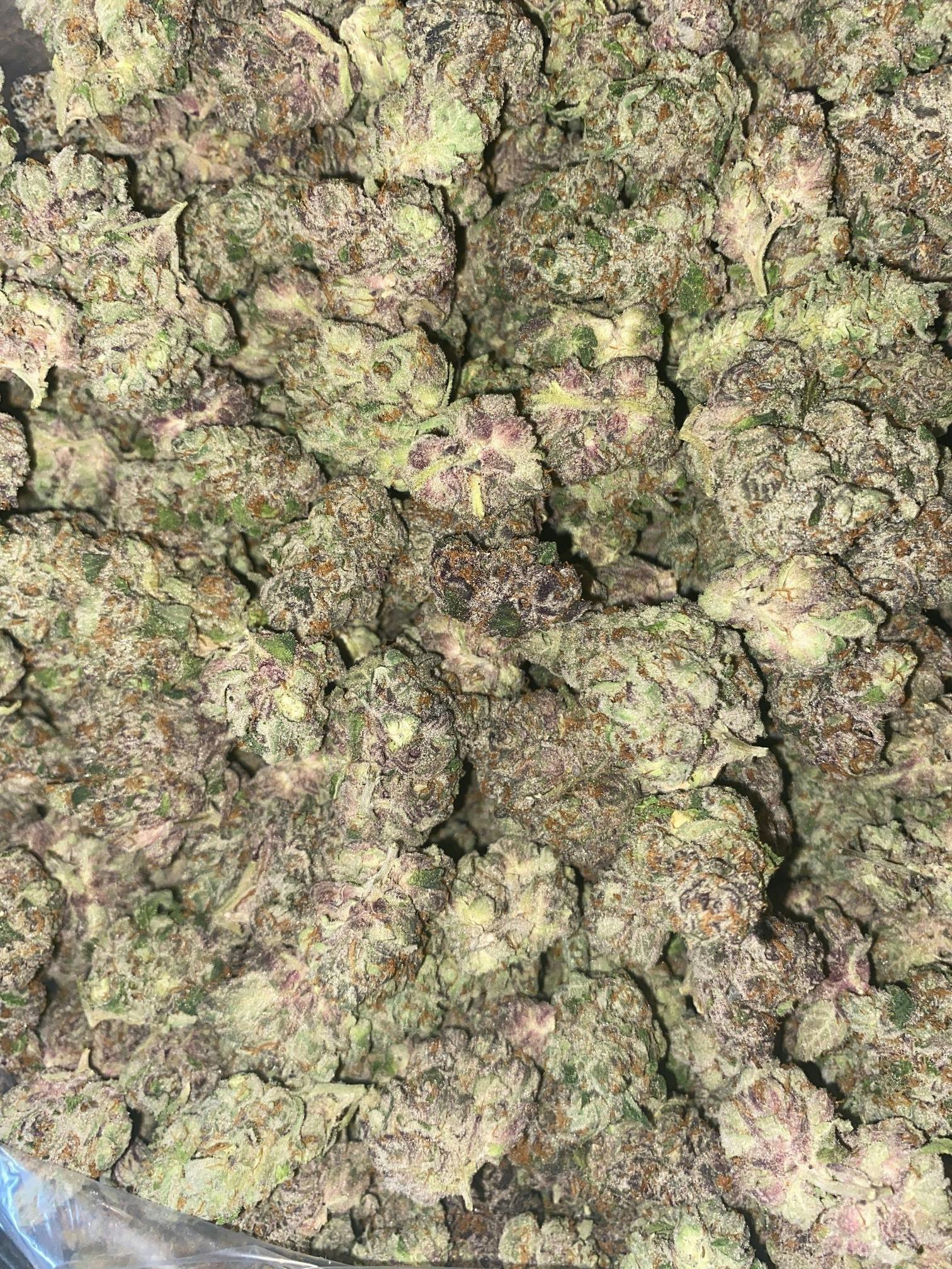 Jamaican Dream | Big Buds | 3.5g by The Green Well