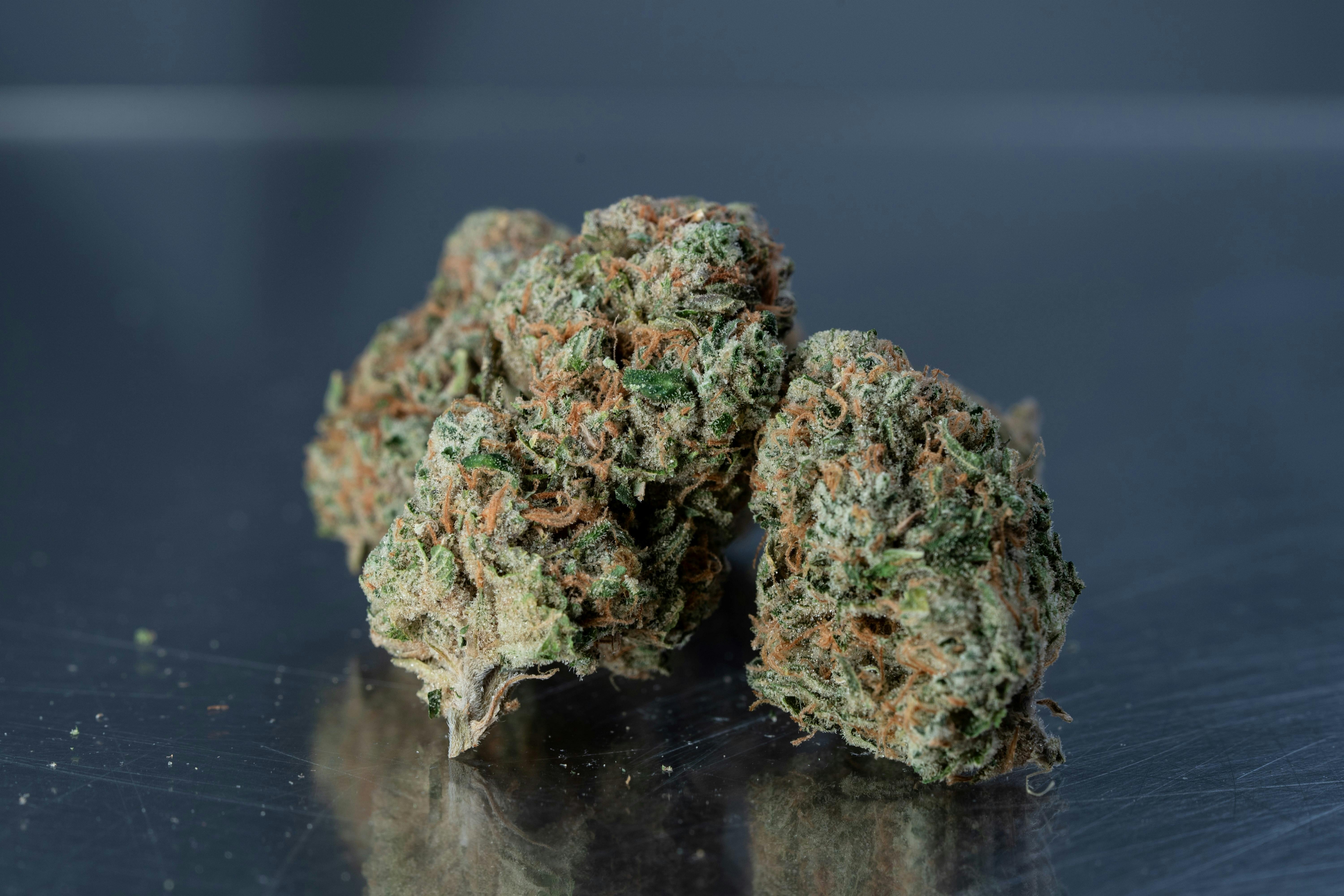 Crescendo #11 | Smalls | 3.5g by Natural State Medicinals