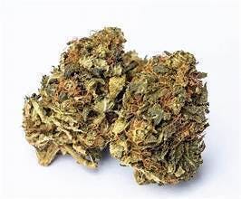 Grape Z: Big Buds - 3.5g