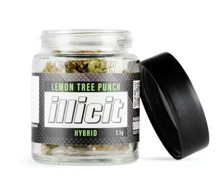 Lemon Tree Punch | Big Buds | 3.5g