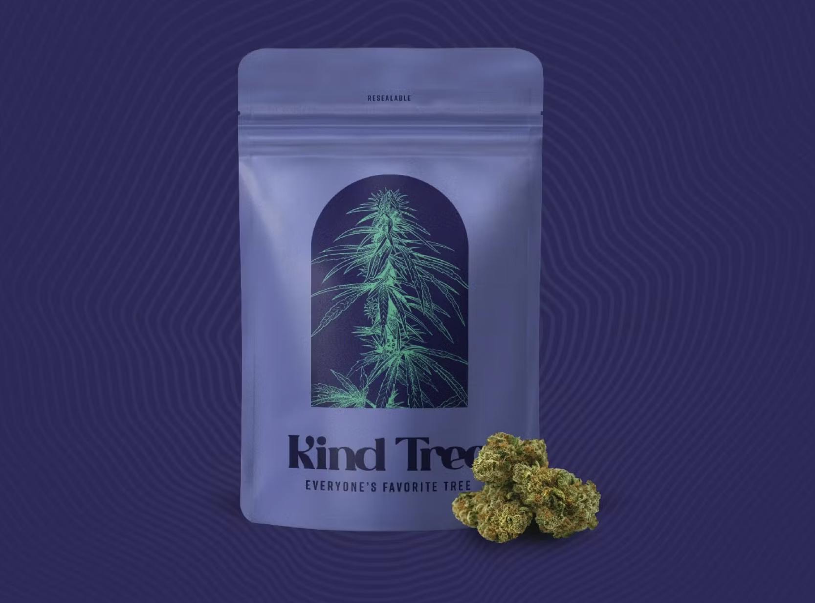 Glitter Bomb | Smalls | 7g by Kind Tree