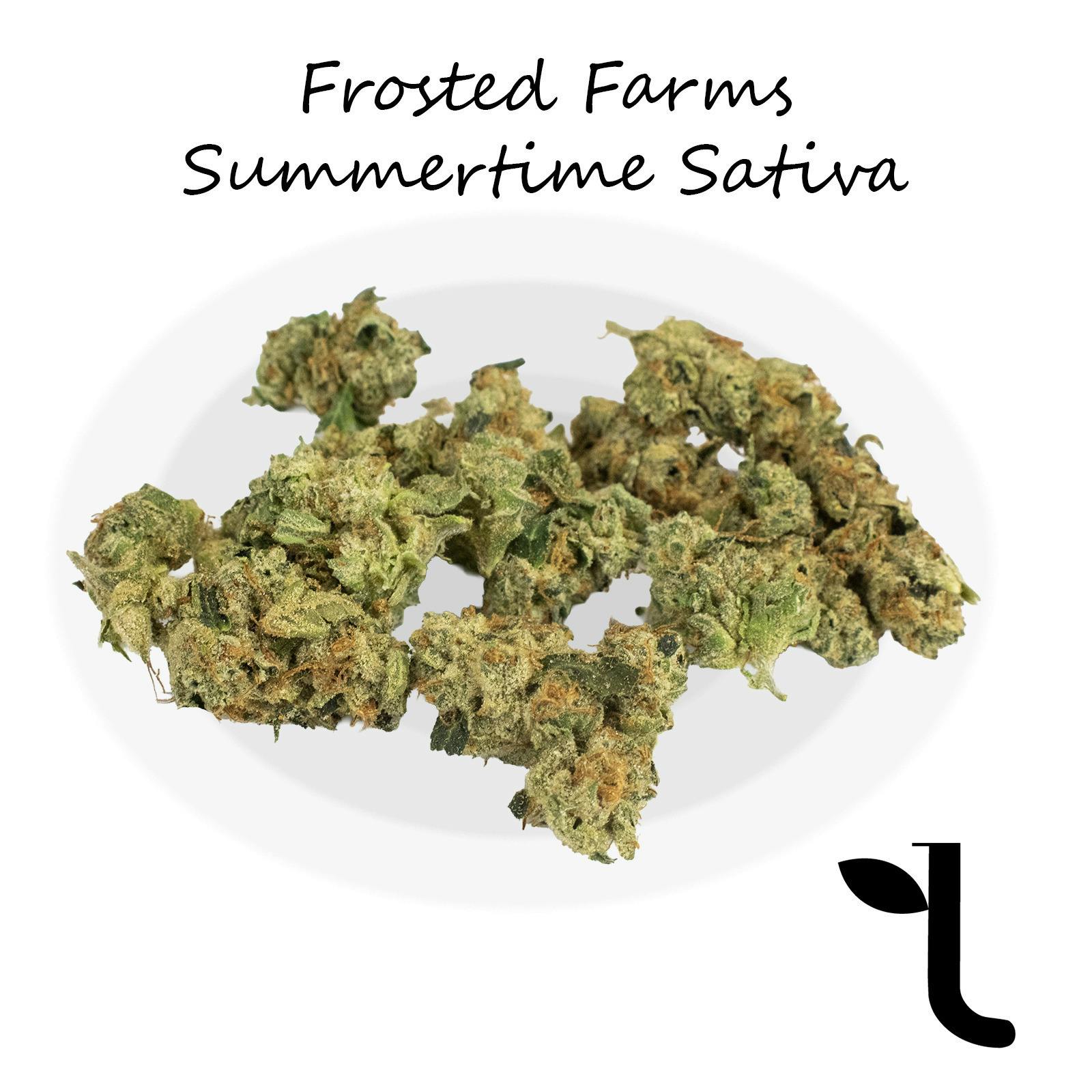 Summertime Sativa | Big Buds | 1g