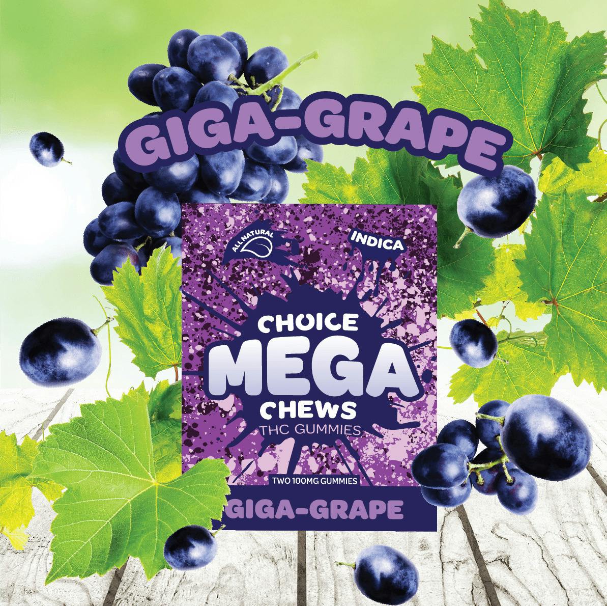 Choice MEGA Chews - 200mg Gummies - Giga Grape (I) | Gummies | 2pk | 100mg/