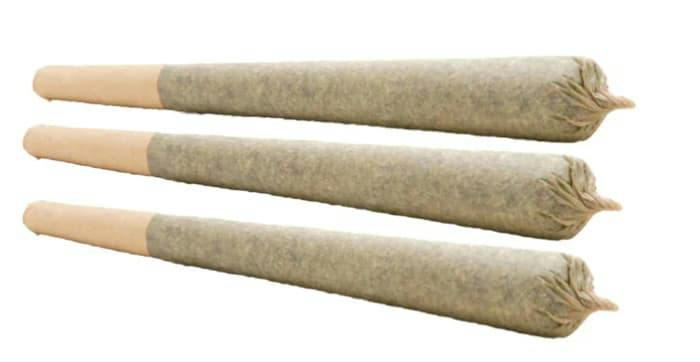 jack herer | Minis | 0.5g | 3pk