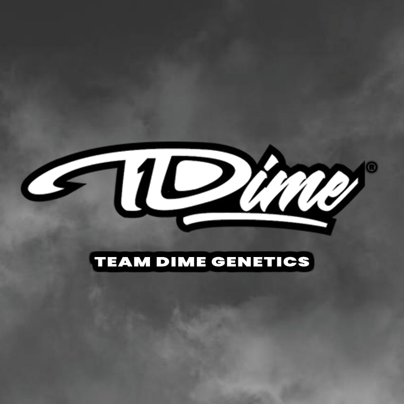 Team Dime Genetics — Modified Mintz