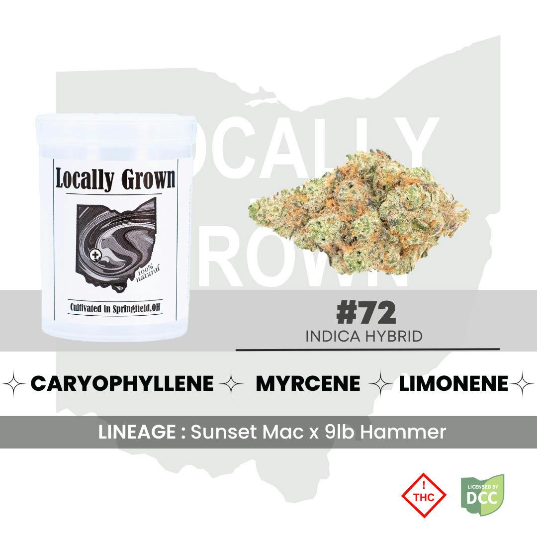 #72 | Big Buds | 2.83g at Pure Ohio Wellness