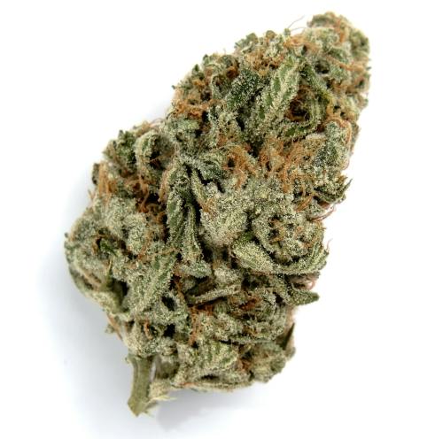 Scotti's Cake | Big Buds | 1g