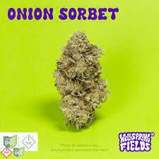 Onion Sorbet | Big Buds | 2.83g at Nectar