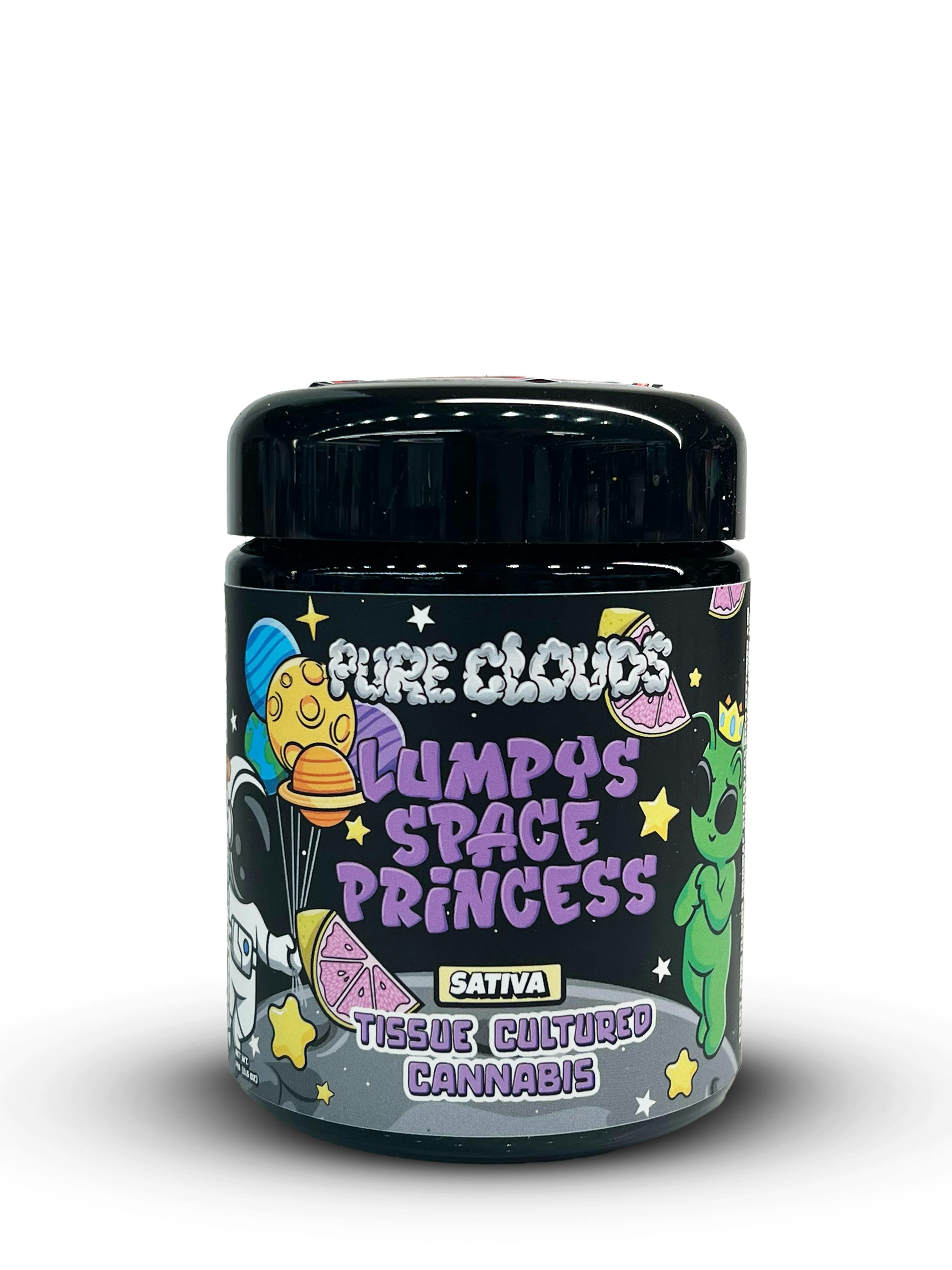 Lumpy's Space Princess | Big Buds | 14g