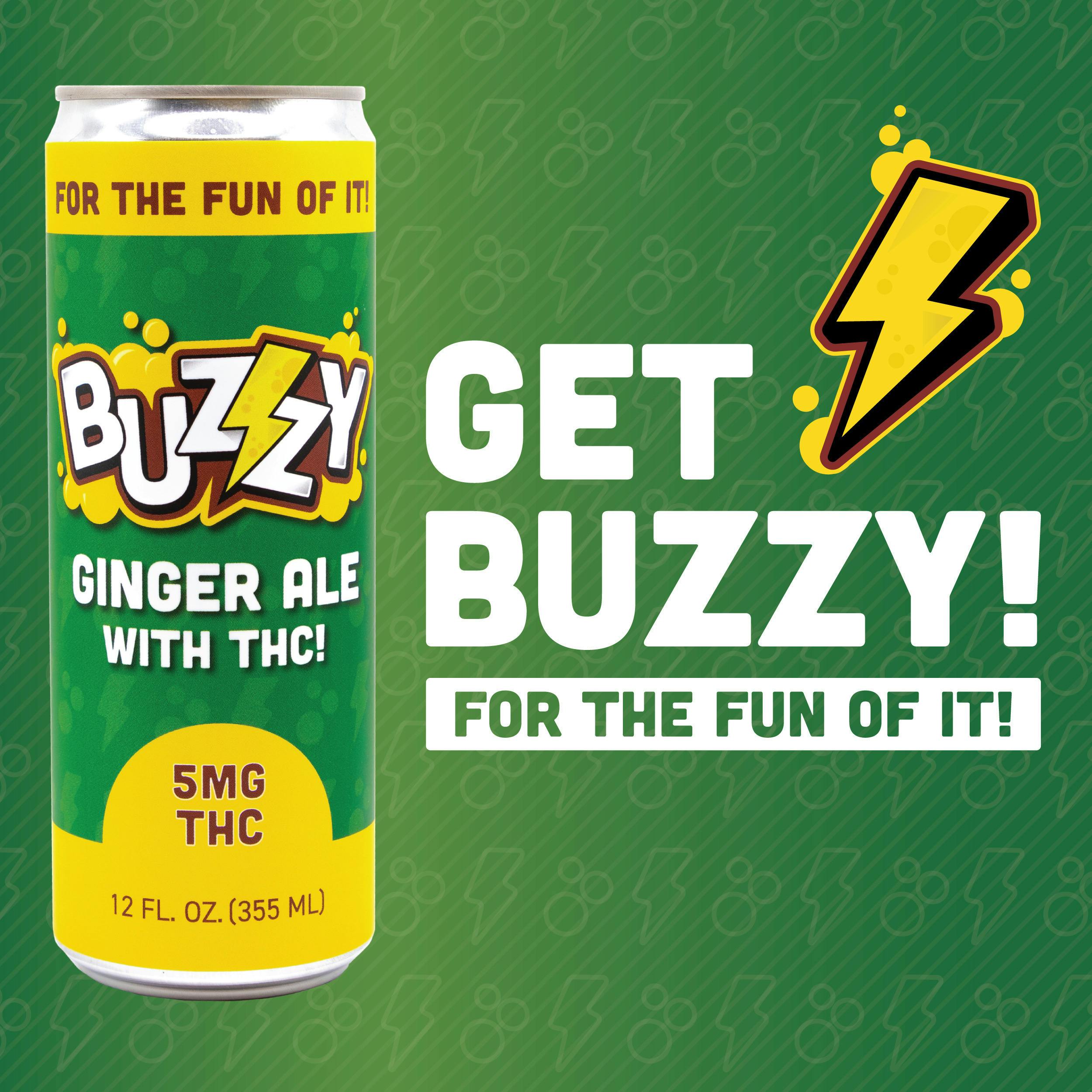 Ginger Ale | Carbonated | 5mg | 12fl oz at Tree House Craft Cannabis Dispensary Pepperell
