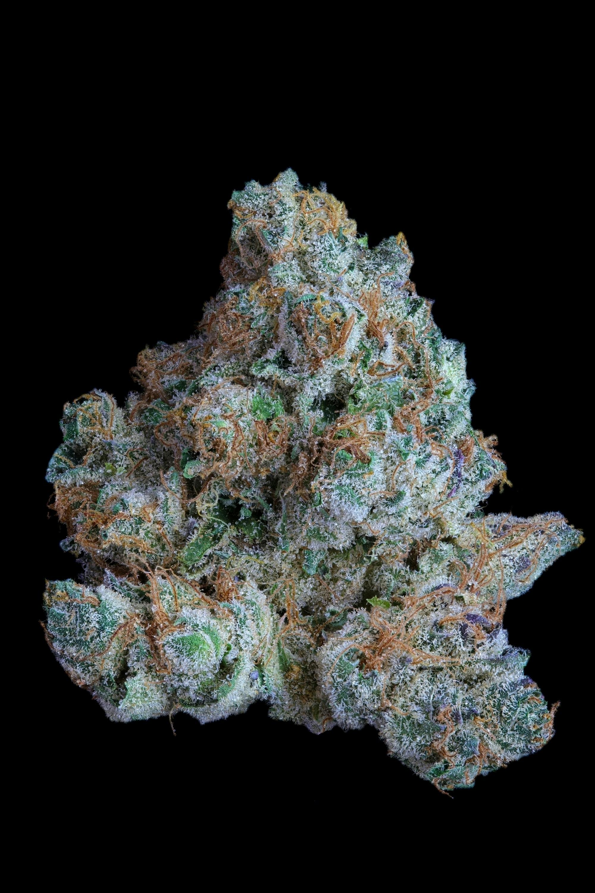 Canyon Cake | Big Buds | 1g