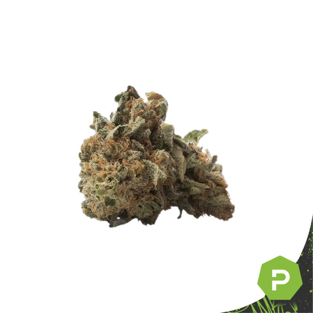 Zruntz | Big Buds | 1g