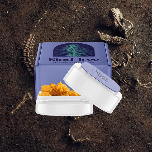 Stankasaurus | Solvent | Crumble | 1g - Kind Tree