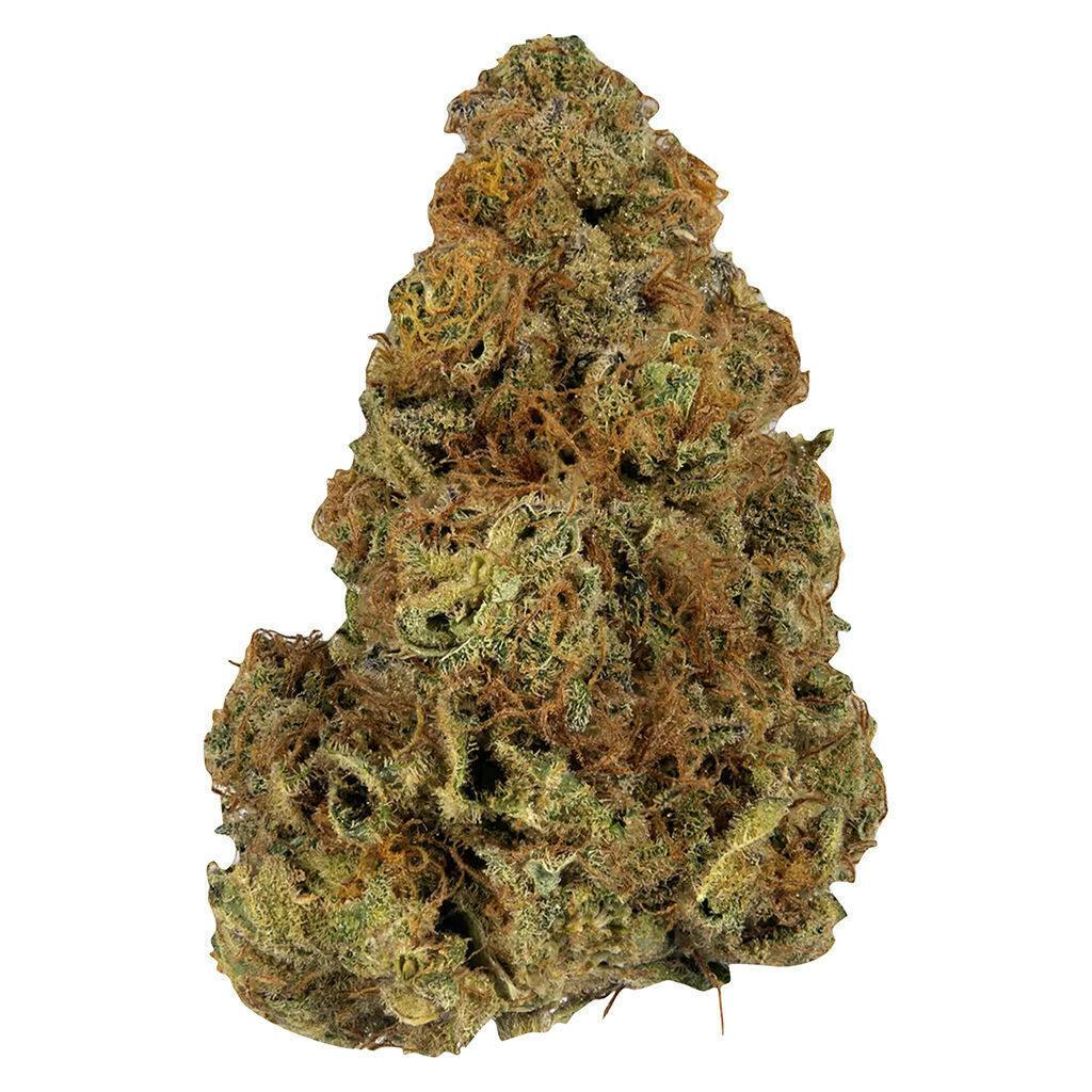 Gassy Treasure | Big Buds | 14g