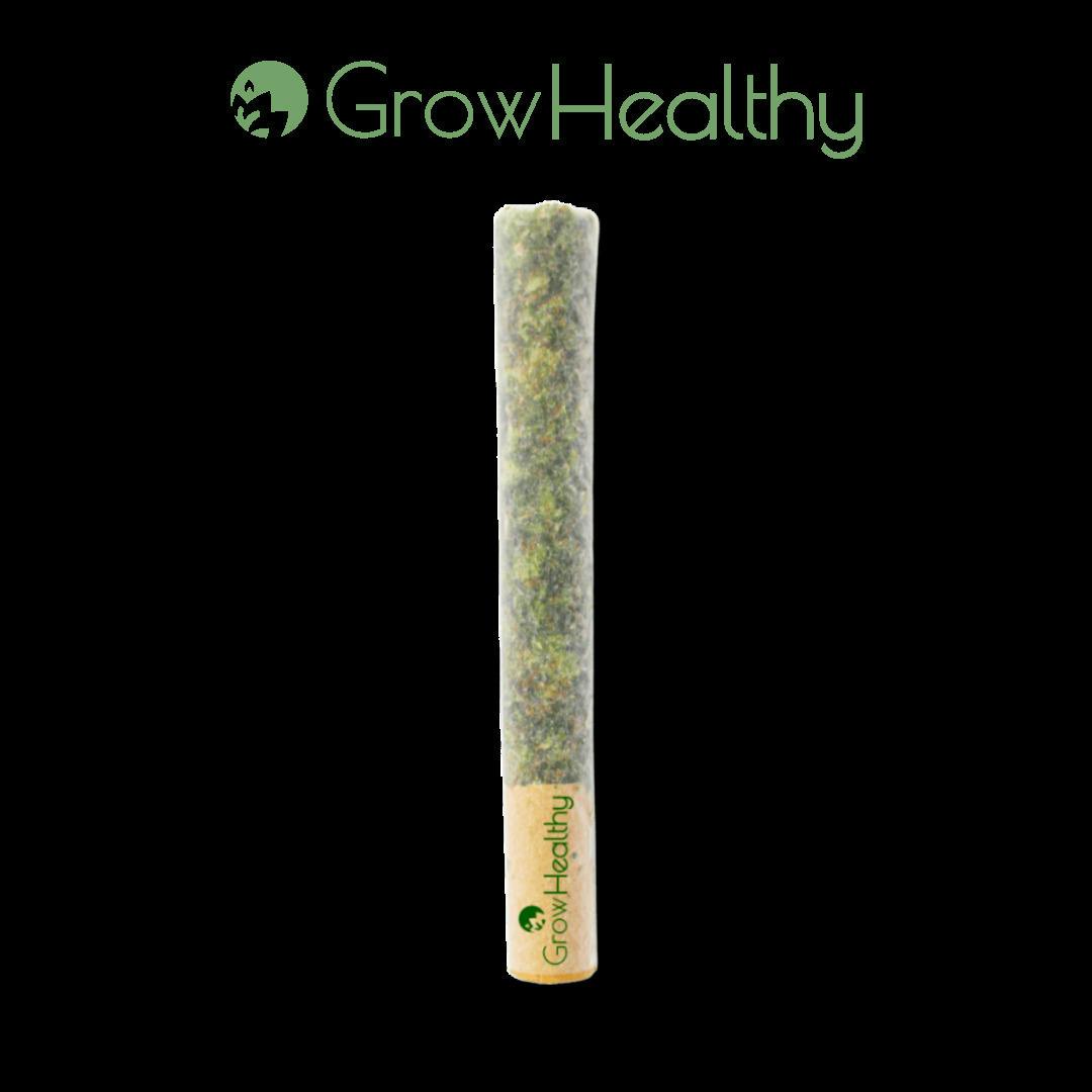 Grande Gato | Joints | 0.7g at GrowHealthy Dispensary - Tallahassee