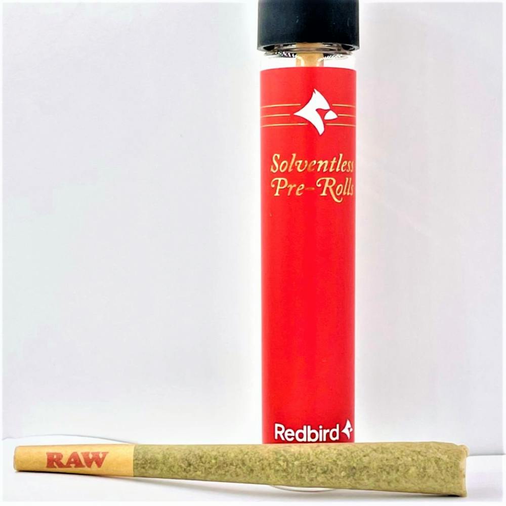 scoops | Infused Joints | 1g