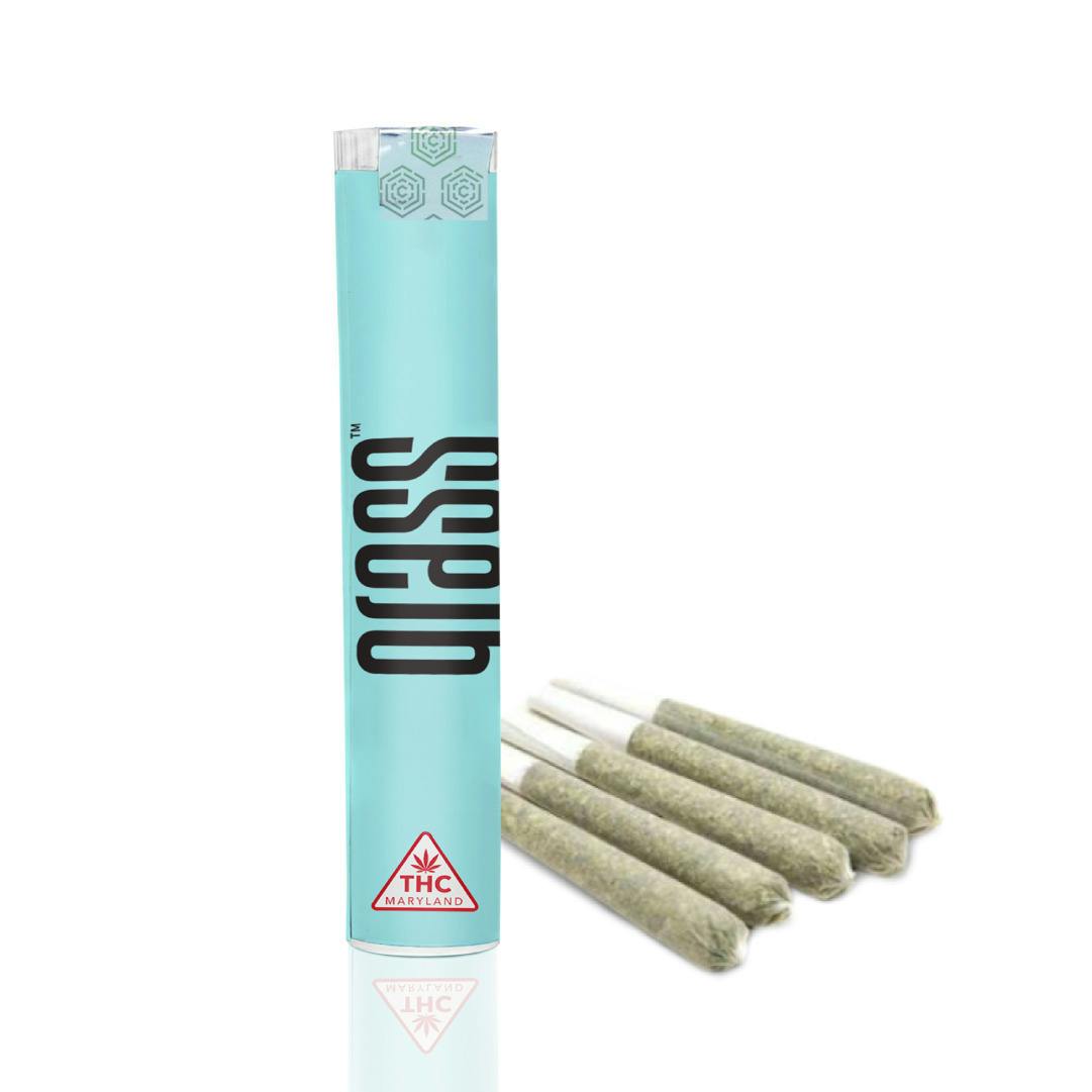 Green Rise | Minis | 0.5g | 5pk