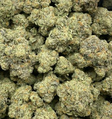 Gary Payton x Runtz | Buds | 14g