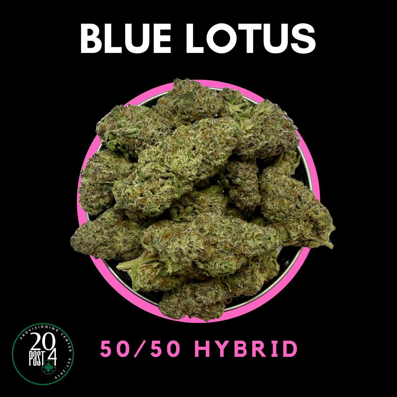 Blue Lotus | Big Buds | 1g