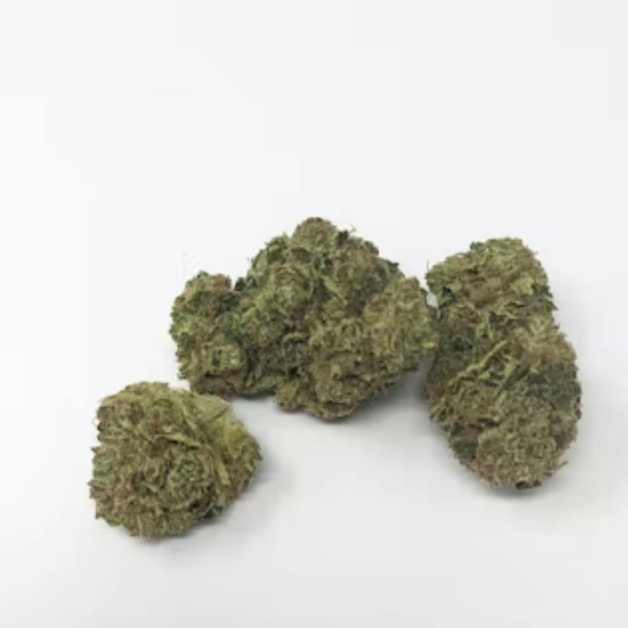 Tora Tsu | Big Buds | 1g