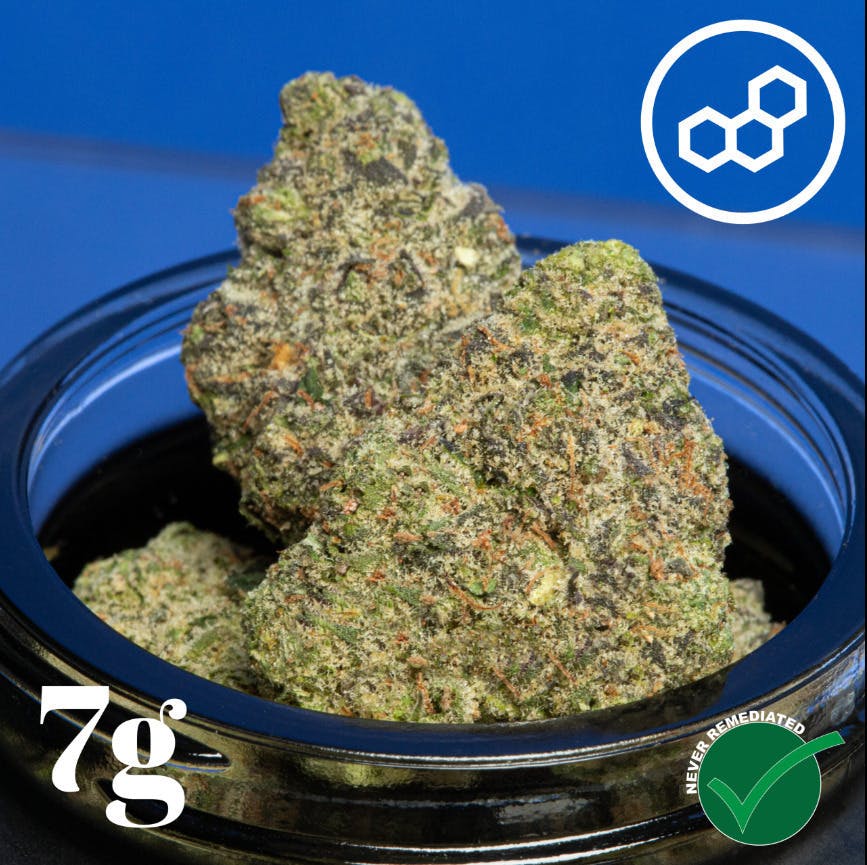 Wedding Cake | Big Buds | 7g by Theraplant