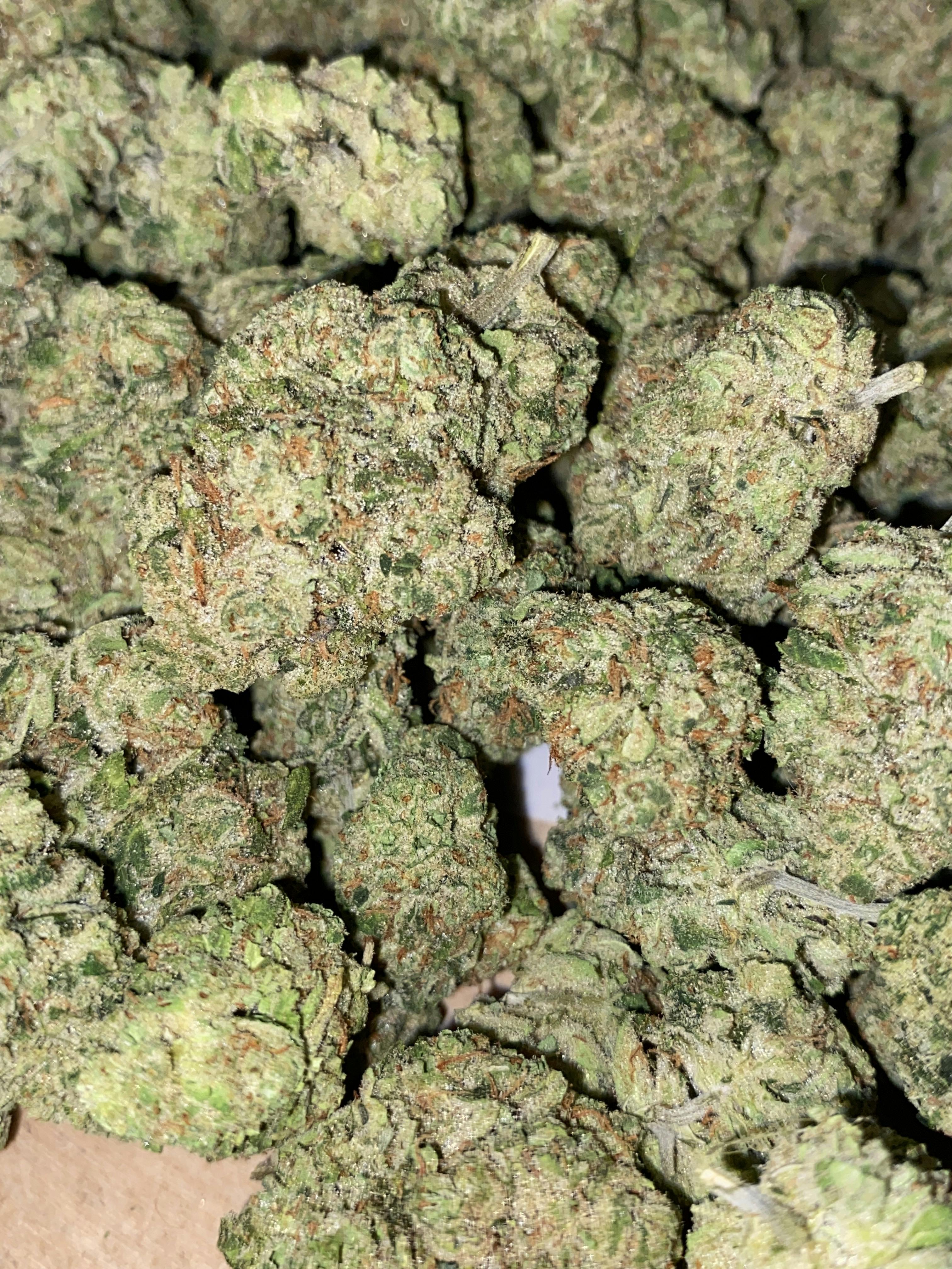 Sour Lime Haze | Big Buds | 28g by The Green Well