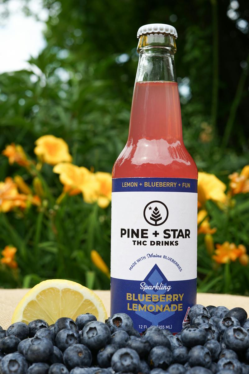 Blueberry Lemonade | Carbonated | 10mg | 12fl oz at JAR Cannabis Co. Dispensary - Newry (Sunday River)