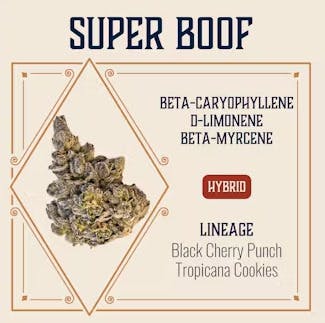 Super Boof | Big Buds | 3.5g by Elevate